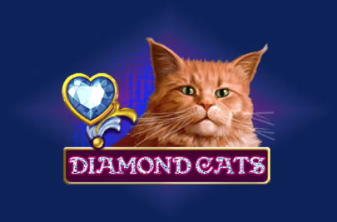 icon game for Diamond Cats